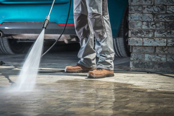 Best Winterizing Services  in Patchogue, NY